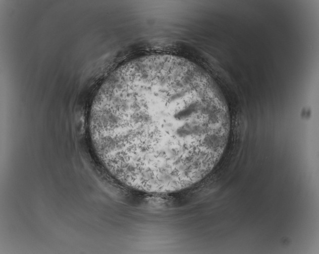 X0000111150703200907211203