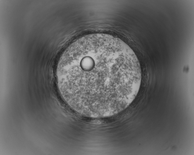 X0000111150704200907211203
