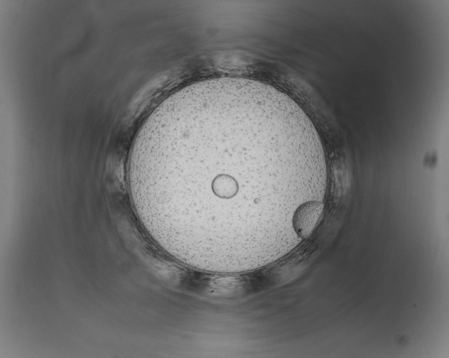 X0000111150705200907211203
