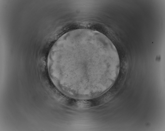 X0000111150707200907211203