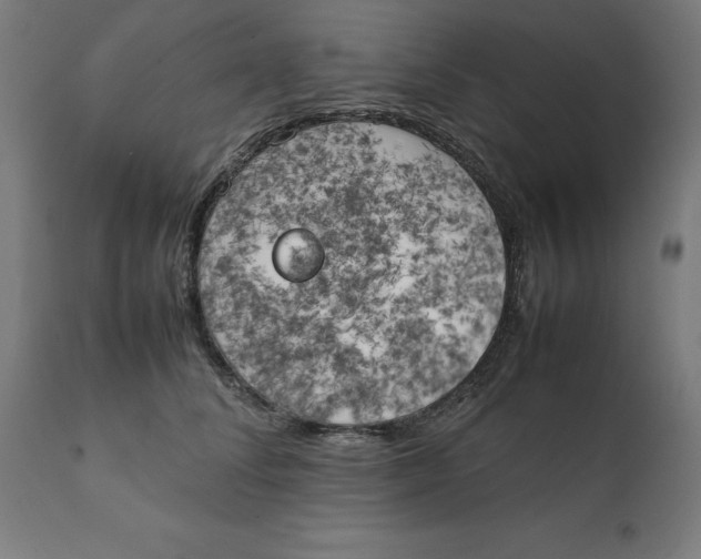 X0000111150708200907211203