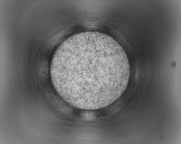 X0000111150710200907211203