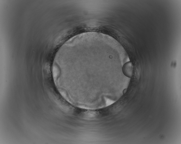 X0000111150711200907211203