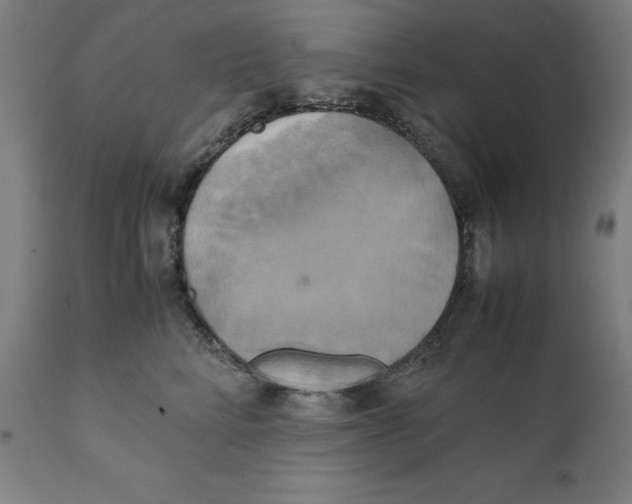 X0000111150712200907211203