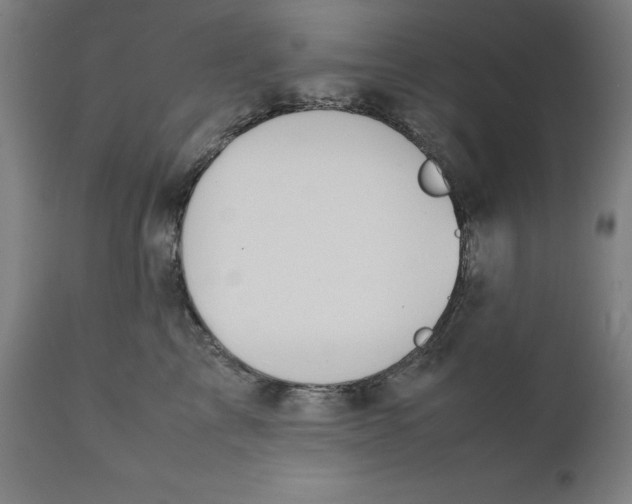X0000111150713200907211203