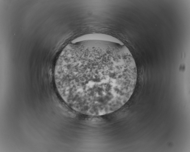 X0000111150716200907211203