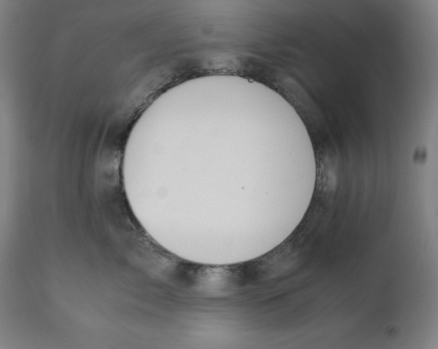 X0000111150717200907211203