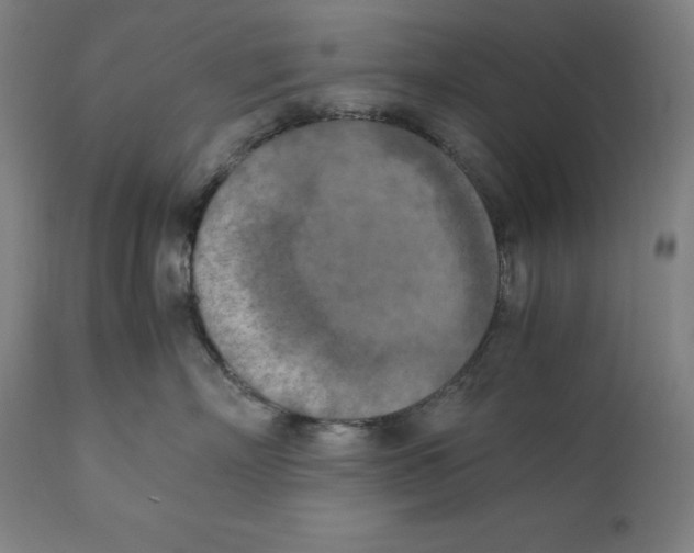 X0000111150718200907211203