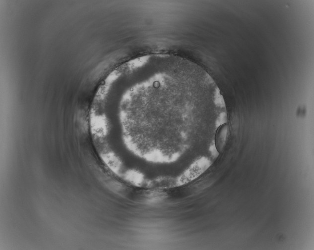 X0000111150719200907211203