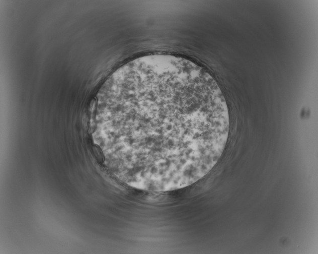 X0000111150720200907211203