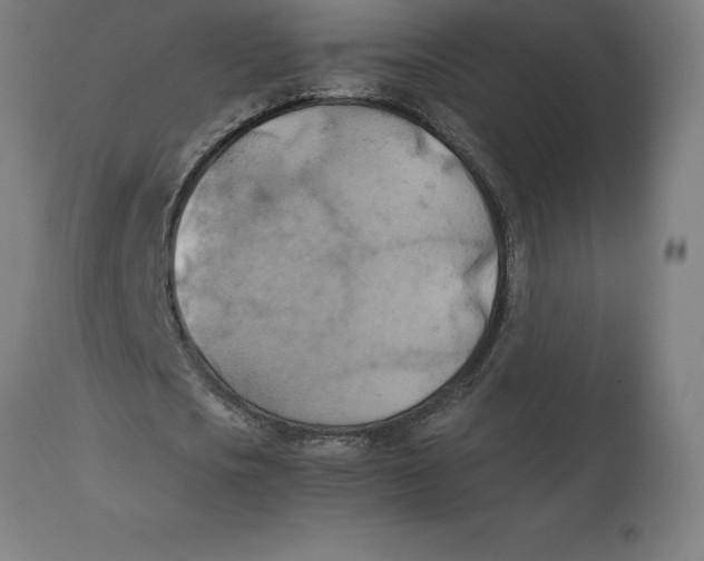 X0000111150721200907211202