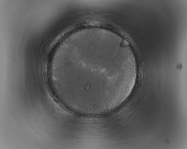 X0000111150722200907211202