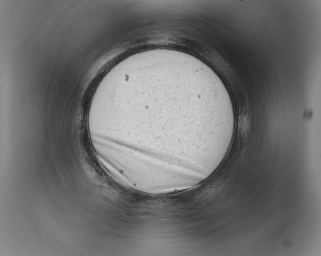 X0000111150724200907211202