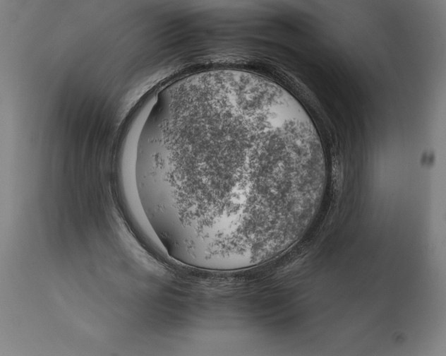 X0000111150725200907211202