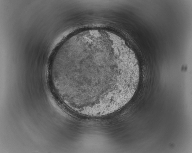 X0000111150726200907211202