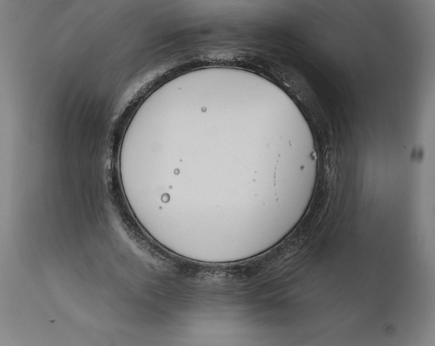 X0000111150728200907211202