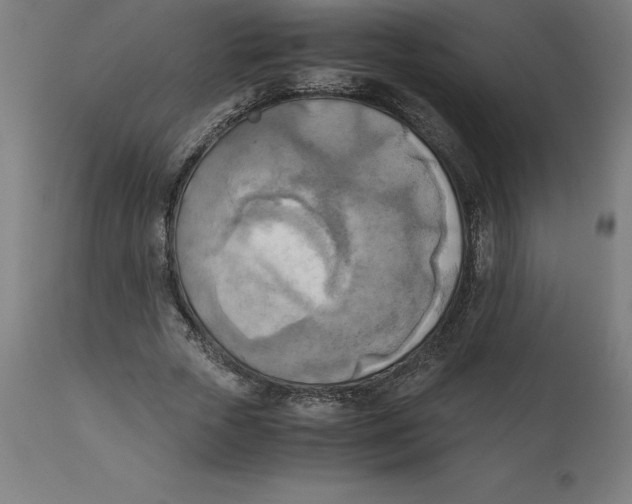 X0000111150729200907211202