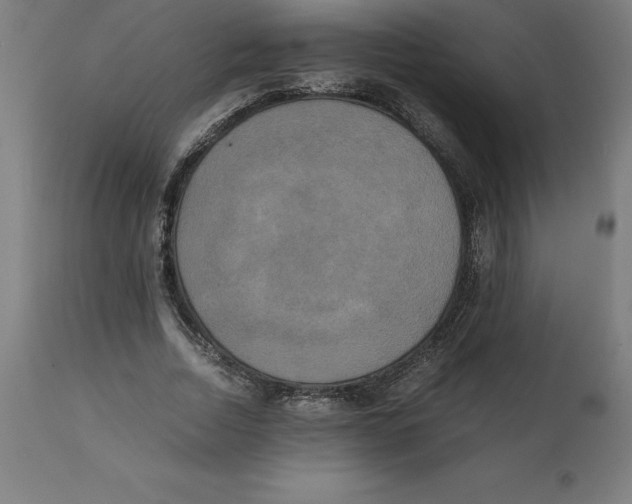 X0000111150730200907211202