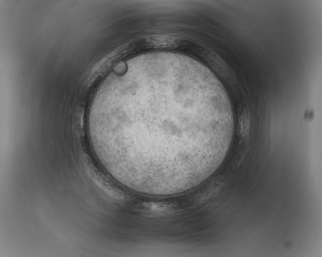 X0000111150733200907211202