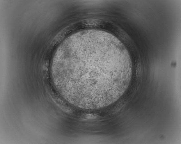 X0000111150737200907211202