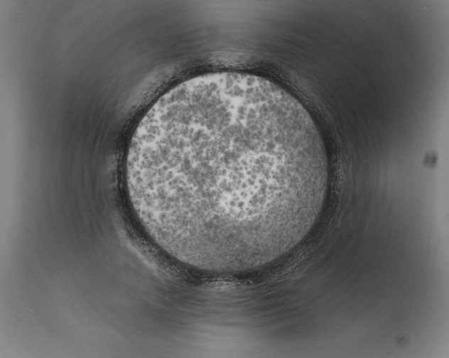 X0000111150738200907211202