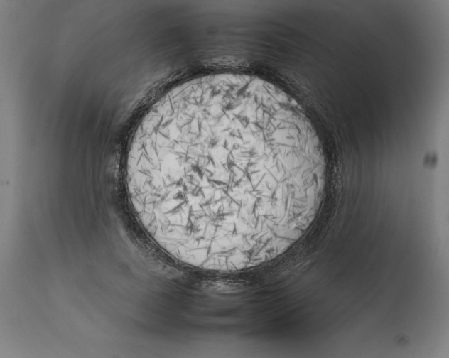 X0000111150739200907211202