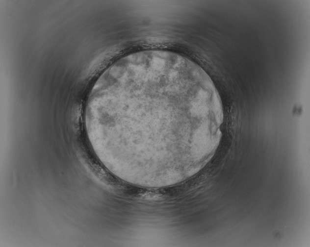 X0000111150742200907211202