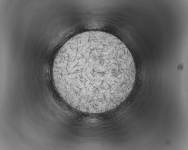 X0000111150743200907211202