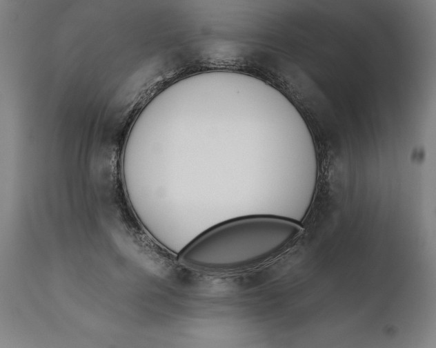 X0000111150744200907211202