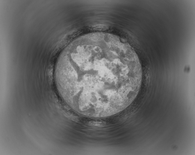 X0000111150745200907211202