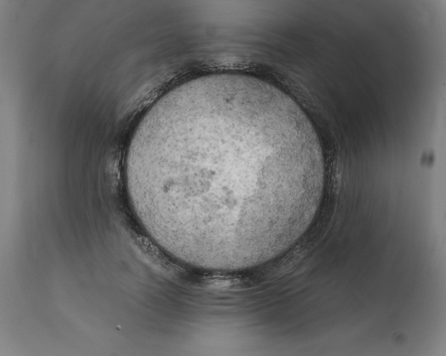 X0000111150746200907211202