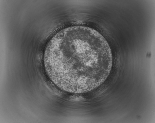 X0000111150747200907211202