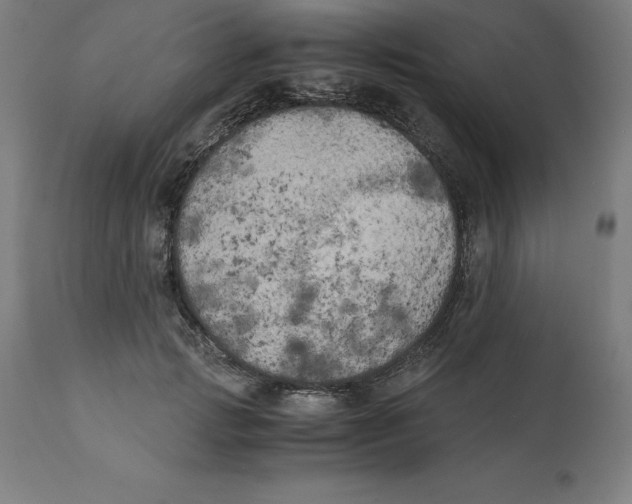 X0000111150749200907211202