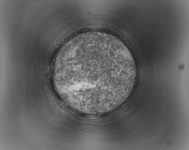 X0000111150750200907211202