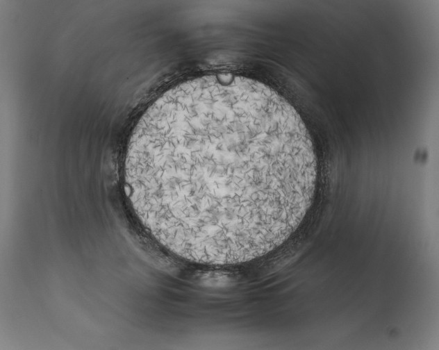 X0000111150751200907211202