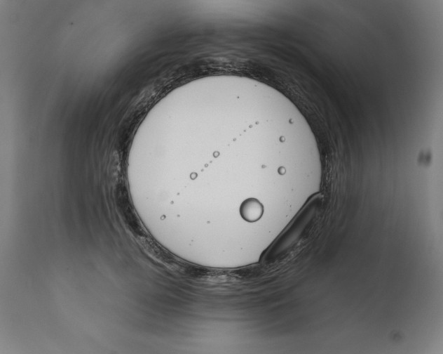 X0000111150752200907211202