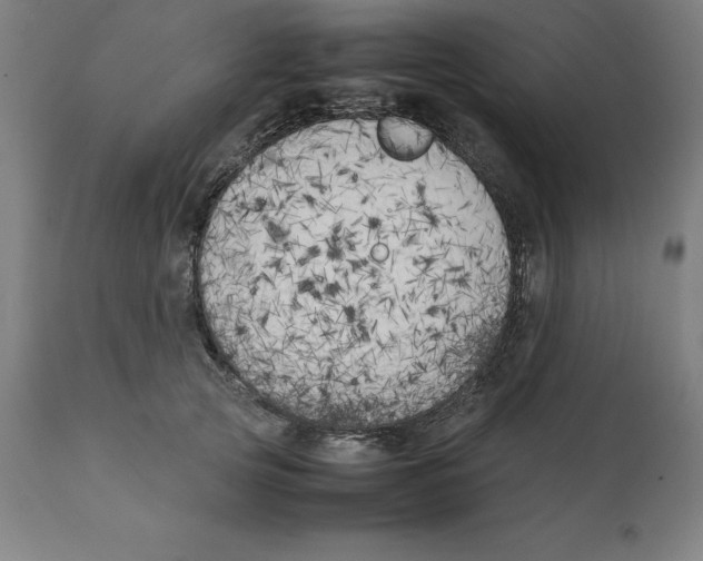 X0000111150753200907211202