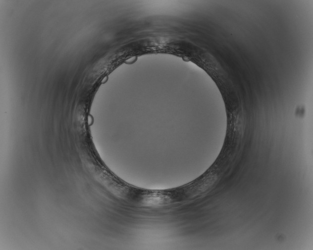 X0000111150754200907211203