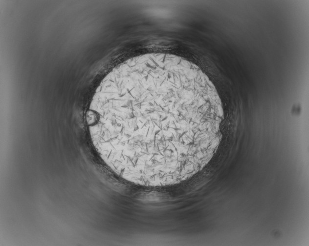 X0000111150755200907211203