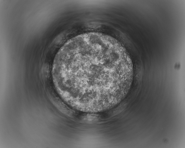 X0000111150758200907211203