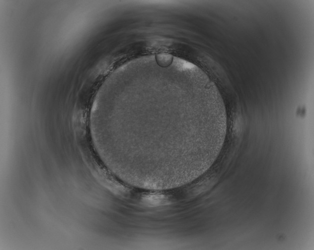 X0000111150759200907211203