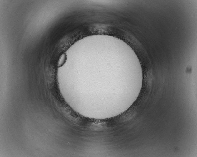 X0000111150760200907211203