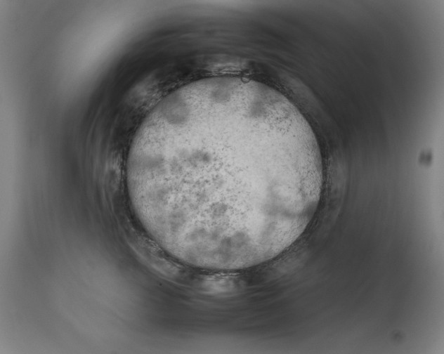 X0000111150761200907211203
