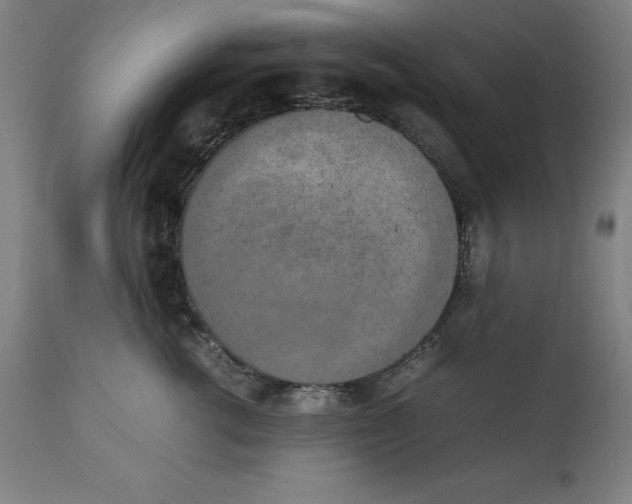 X0000111150762200907211203