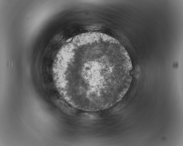 X0000111150763200907211203