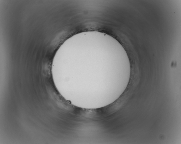 X0000111150768200907211203