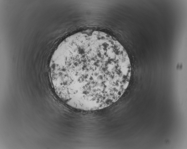 X0000111150769200907211202