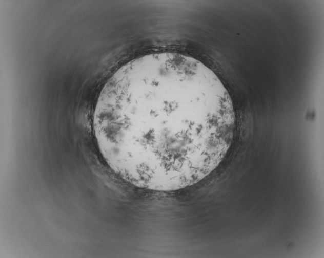 X0000111150770200907211202
