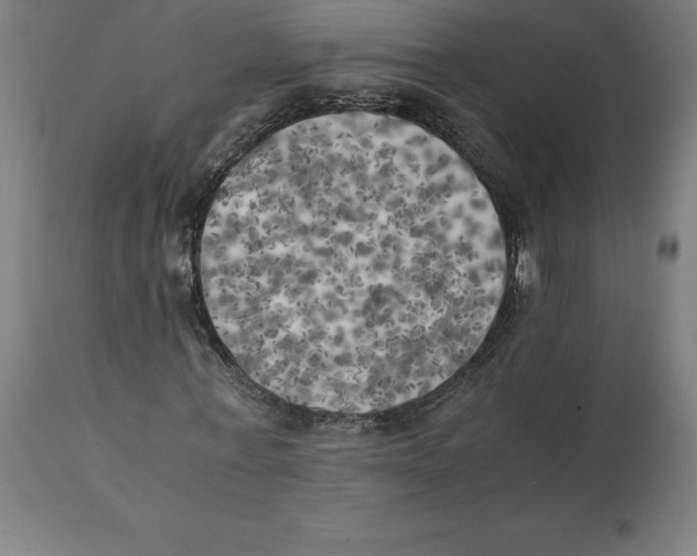 X0000111150771200907211202