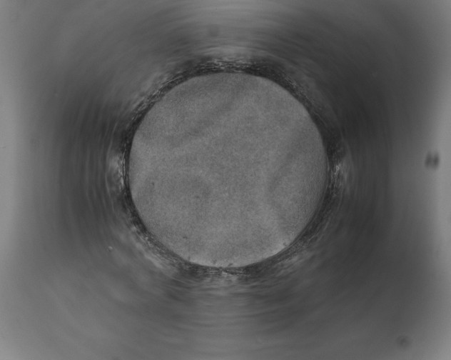 X0000111150772200907211202
